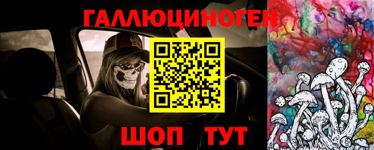 Псилоцибиновые грибы Cubensis Новосибирск